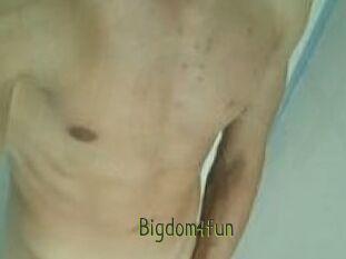 Bigdom4fun