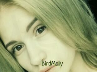 BirdMolly