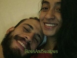 BlowsAndSwallows