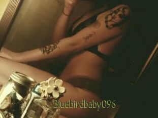 Bluebirdbaby096