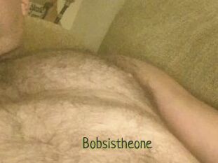 Bobsistheone