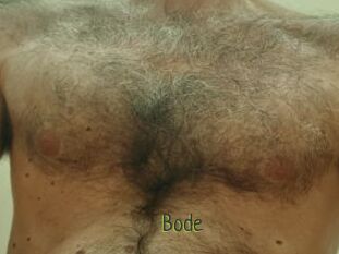 Bode