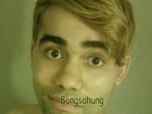 Bongsohung