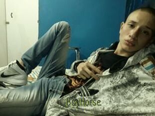 BoyHorse