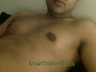 BrownStallion4Babes