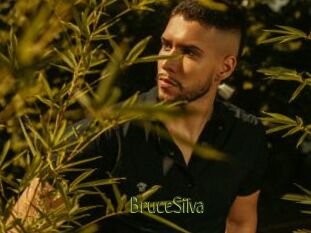 BruceSilva