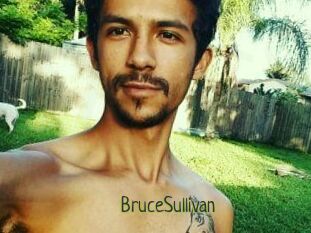 Bruce_Sullivan
