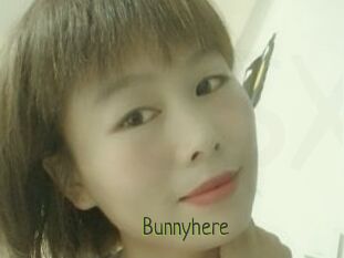 Bunnyhere