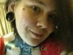 Buzz_Cat