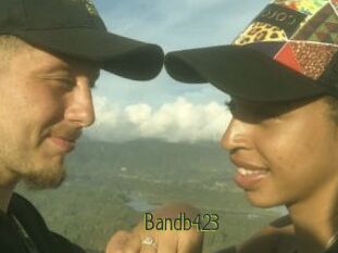 Bandb423