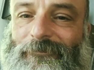Bearpig001