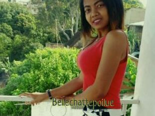 Bellechattepoilue
