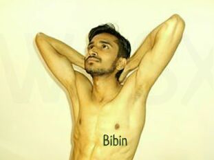 Bibin