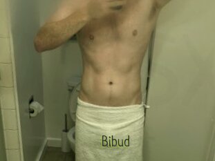 Bibud