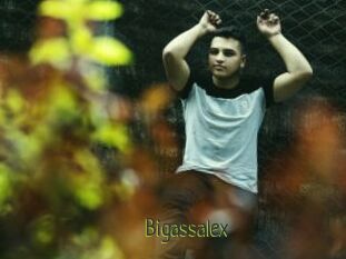 Bigassalex