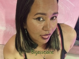 Bigasselaine
