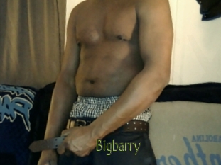 Bigbarry