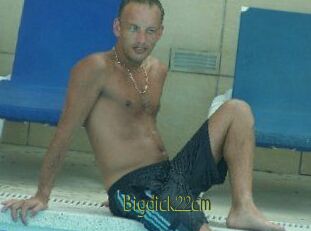 Bigdick22cm