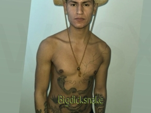 Bigdicksnake