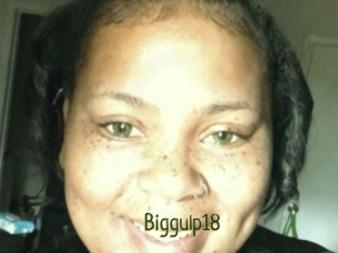 Biggulp18