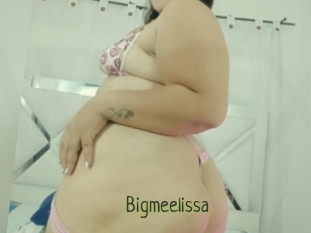 Bigmeelissa
