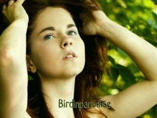 Birdinparadise