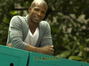 Blacklatinbear