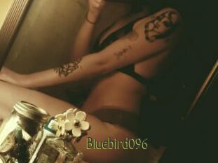 Bluebird096