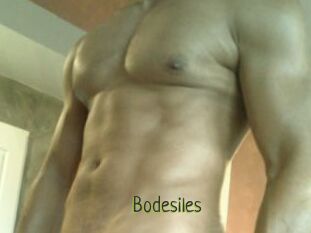 Bodesiles