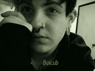 Boicub
