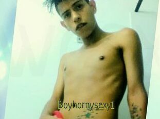 Boyhornysexy1