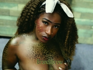 Brandiibrow