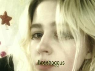 Breeboggus