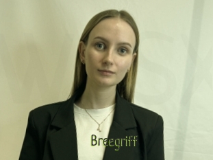 Breegriff