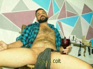 Brett_colt