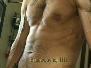 Brucewaynejr1111