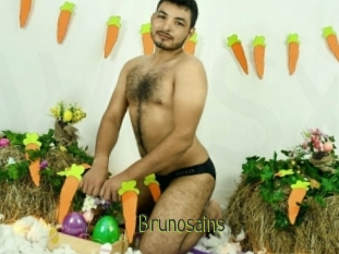 Brunosains