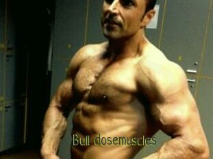 Bull_dosemuscles