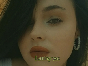 Burningrose