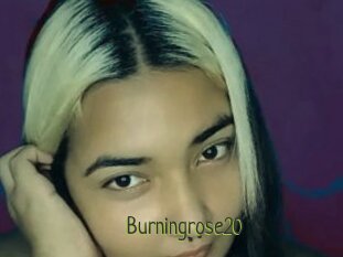 Burningrose20