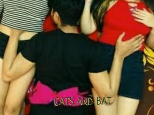 CATS_AND_BAT