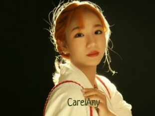 CarelAny