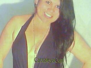 CattaleyaCum