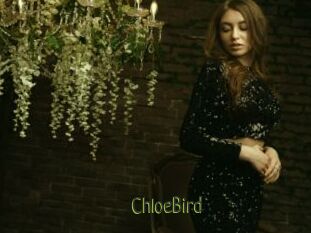 ChloeBird