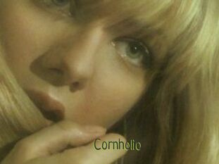 Cornholio