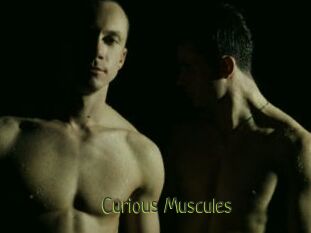 Curious_Muscules