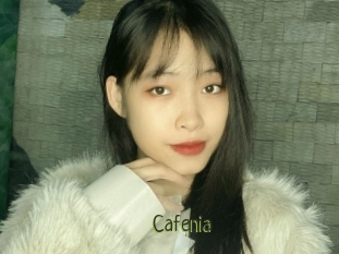 Cafenia