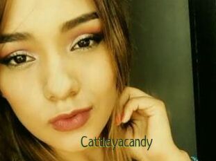 Cattleyacandy