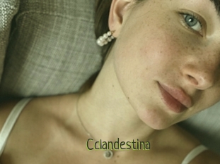 Cclandestina