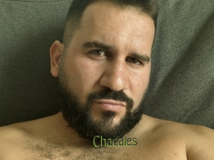 Chacales